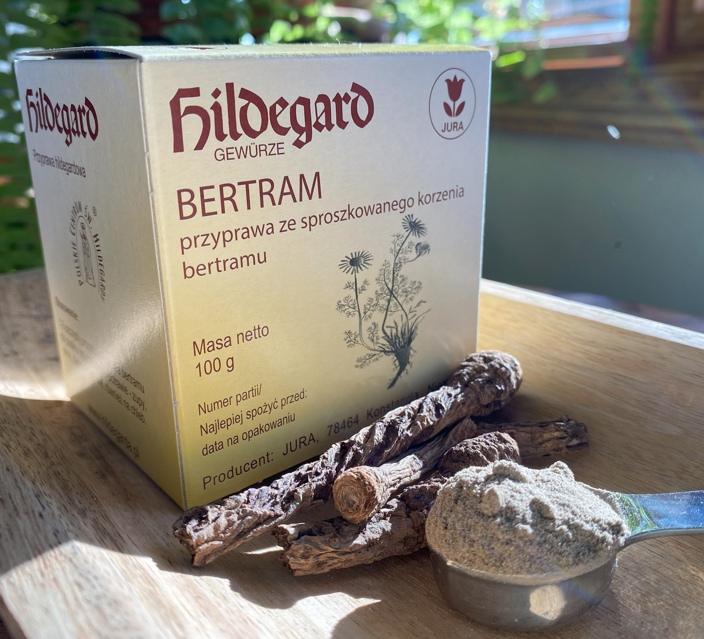 Bertram (Anacyclus Pyrethrum) korzeń w proszku - 100 g.