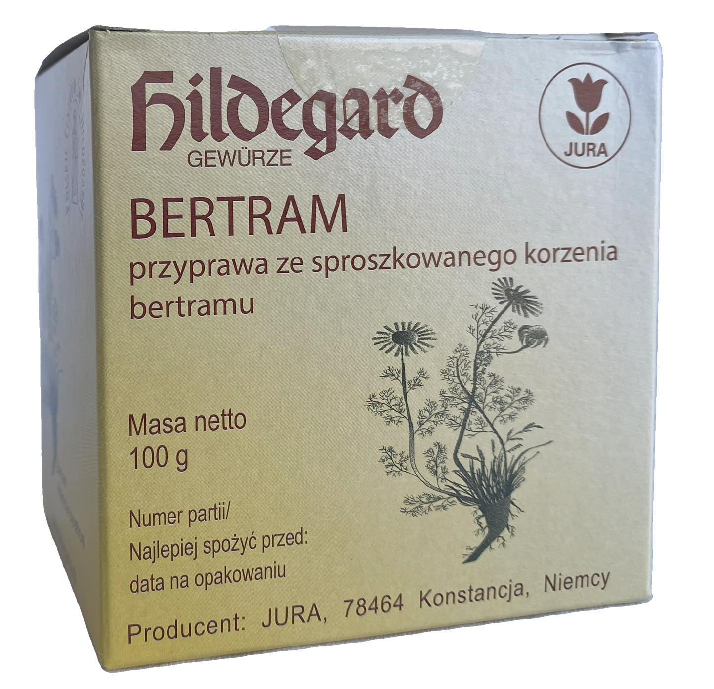 Bertram (Anacyclus Pyrethrum) korzeń w proszku - 100 g.