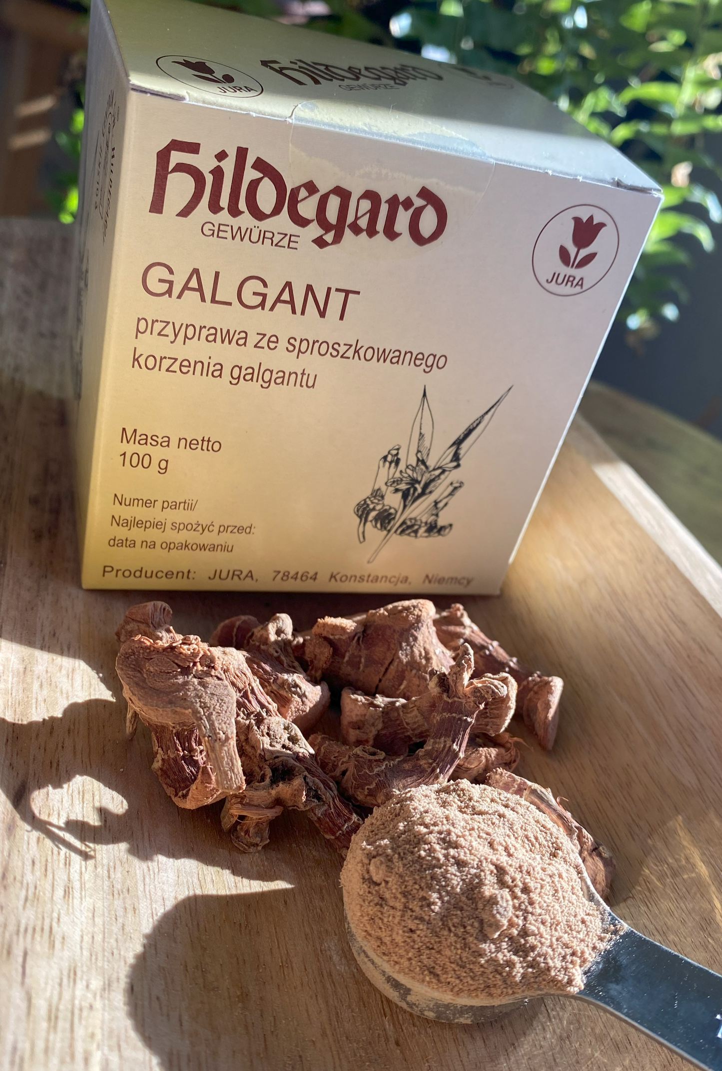 Galgant (Alpinia Officinarum) 100 g. korzeń w proszku