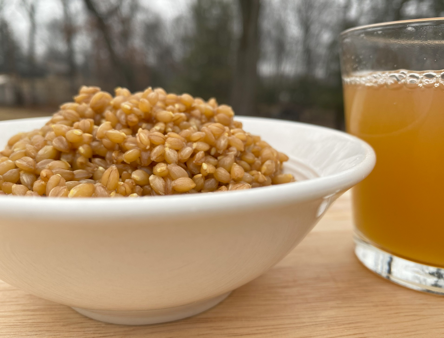 Spelt Berries "Pearls" (Frankenkorn) 2 lbs. (906 g.)