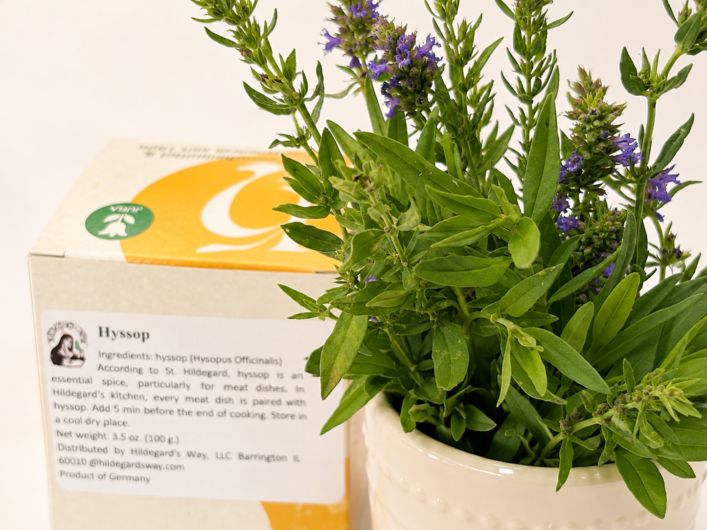 Hyssop (hyssopus officinalis) 100 g. (3.5 oz)