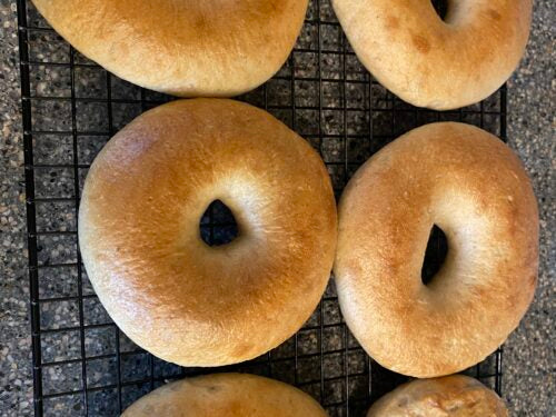 Absolutely Perfect Sour Dough Bagels