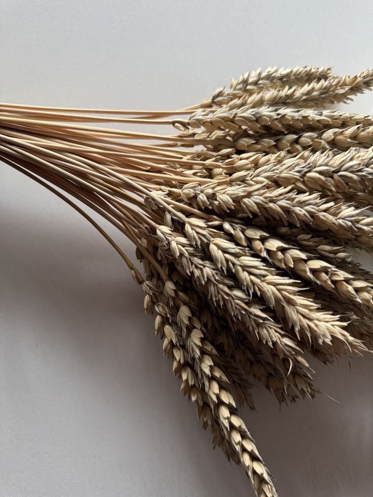 The Grain That Heals: Spelt for Daily Strength and Optimal Metabolic Health