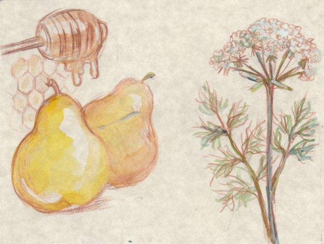 The Jam Worth More Than Gold - Saint Hildegard’s Gut-Healing Secret