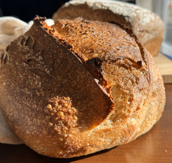 Traditional Spelt Sourdough Loaf Bread from Cottage Bakery by Olena's Tasty Kitchen Tuesday Dec 24th pickup or shipment