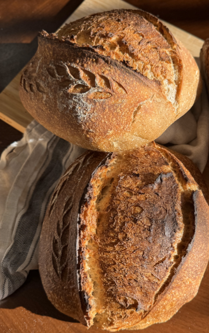 Traditional Spelt Sourdough Loaf Bread from Cottage Bakery by Olena's Tasty Kitchen Thursday Dec.19th pickup or shipment