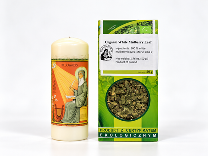 Organic White Mulberry Loose Leaf Tea (Morus alba) – 1.76 oz (50 g)