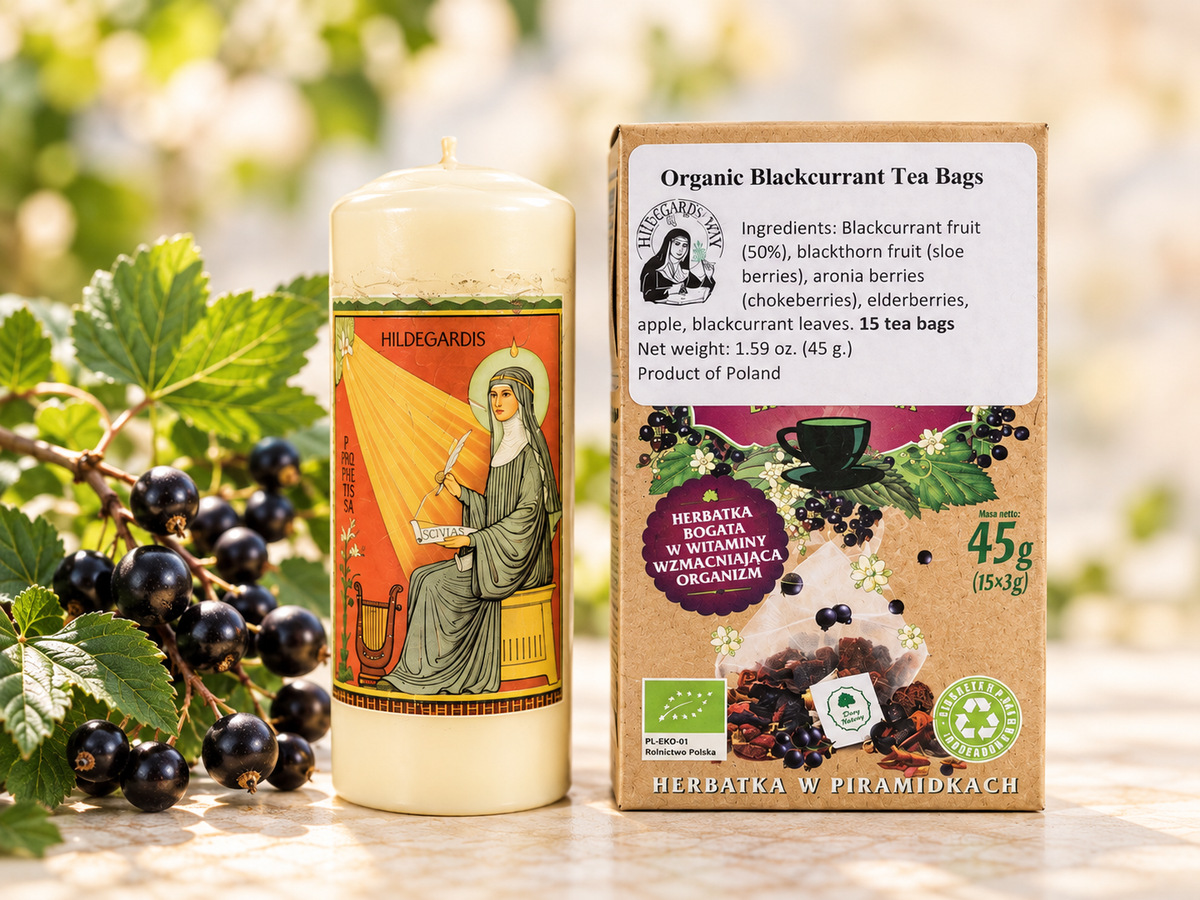 Organic Blackcurrant Fruit Tea – 15 Biodegradable Pyramid Tea Bags