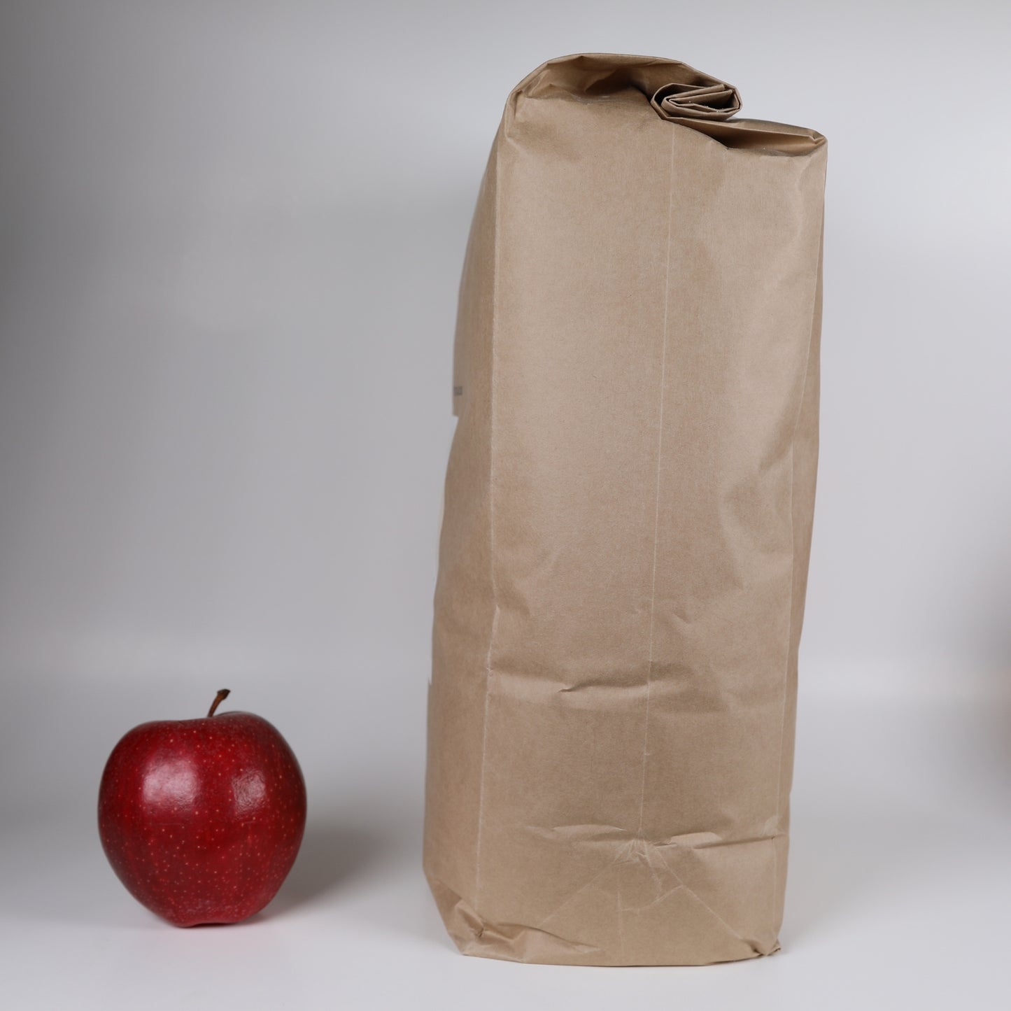 Whole Spelt Flour "Hildegarda" -  11 lbs (5 kg)