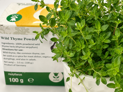 Polvo de tomillo silvestre (thymus serpyllum) 100 g. (3,5 oz.)