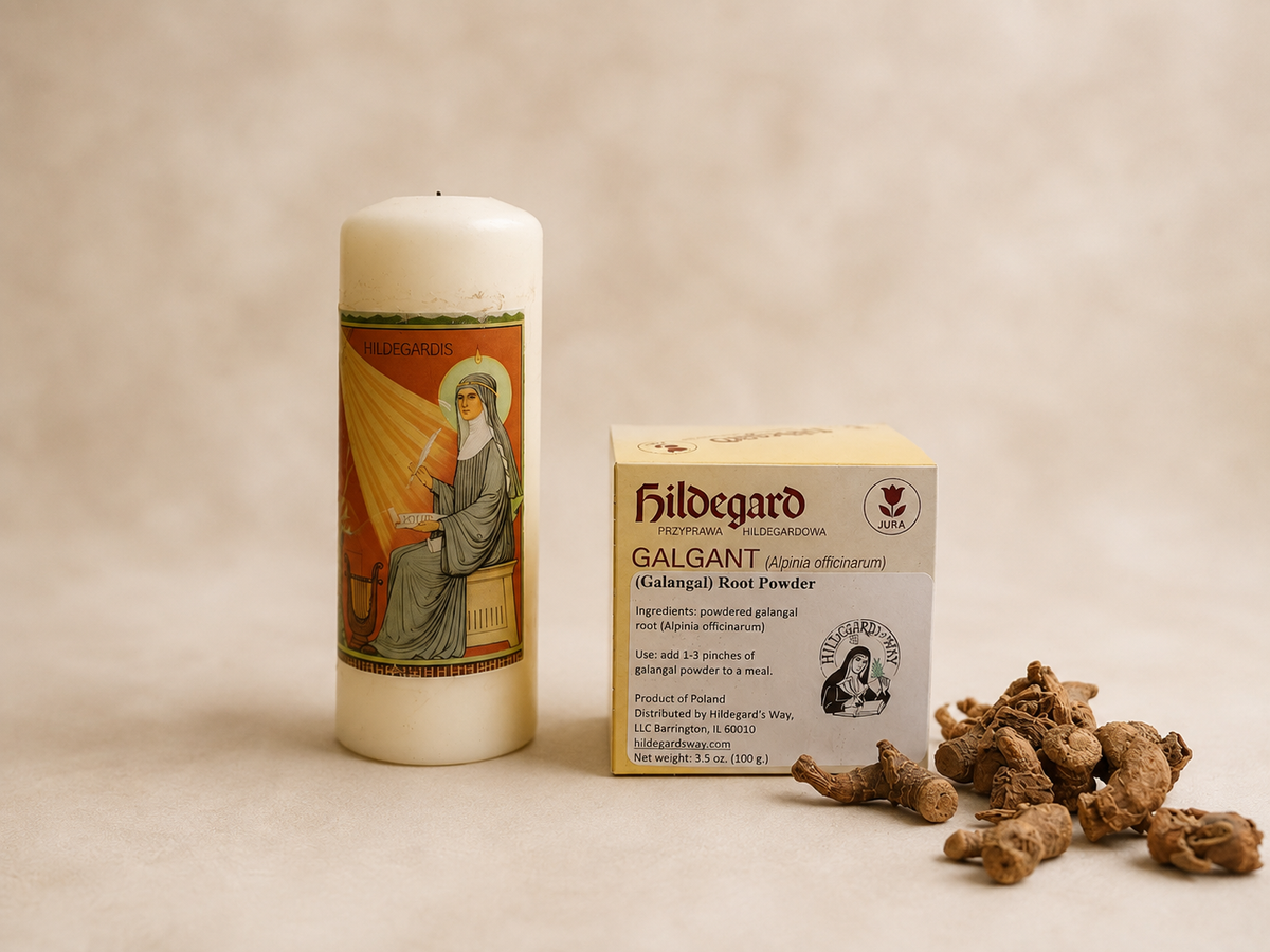 Galgant (Alpinia Officinarum) 100 g. korzeń w proszku