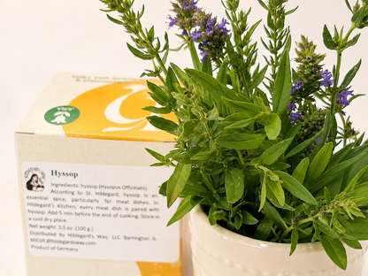 Hyssop (hyssopus officinalis) 100 g. (3.5 oz)